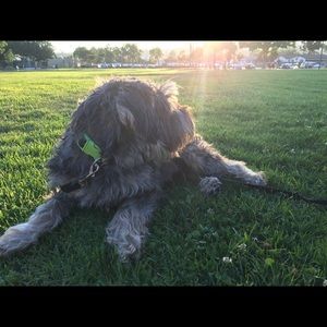 Meet your Posher, Edith